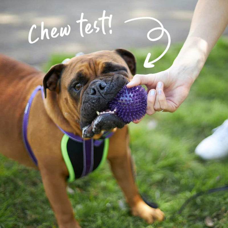 Tough Chewing Space Balls Dog Toy | Medium