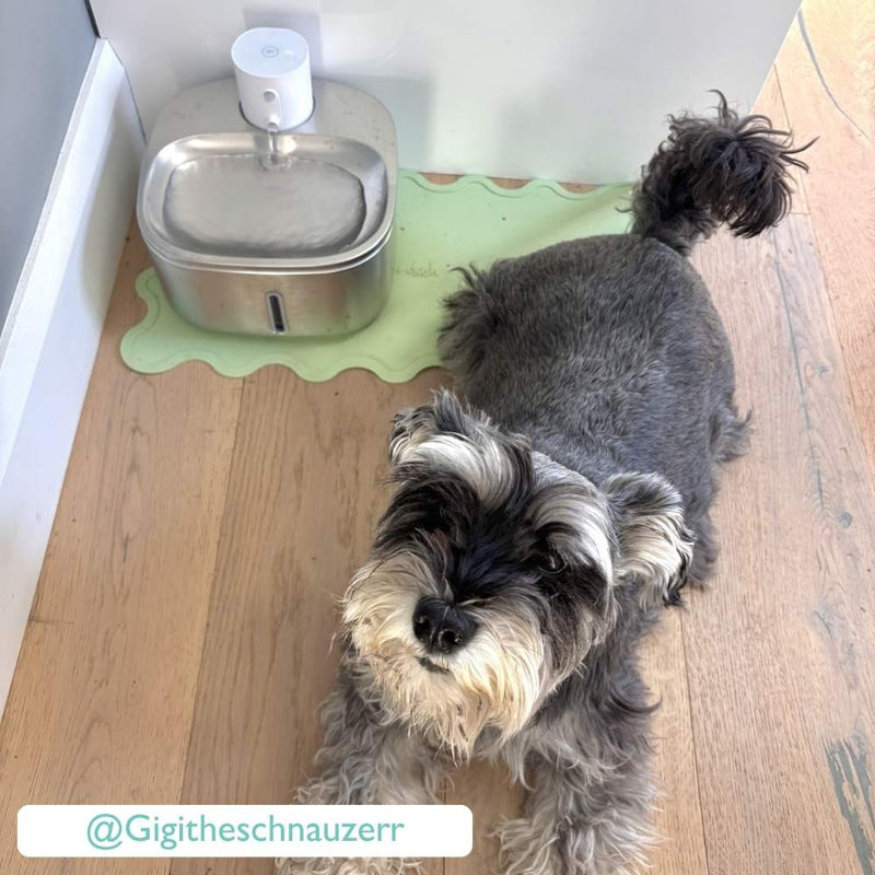 Cordless Sensor Pet Water Fountain, Stainless Steel
