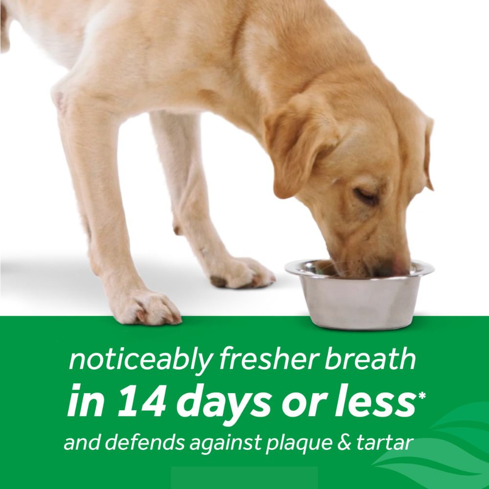 TropiClean Fresh Breath Dental Health Solution for Dogs Original 473mL