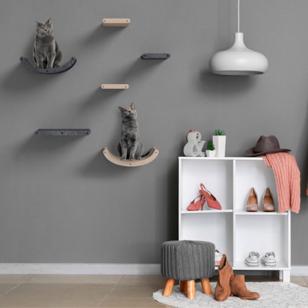 Cat Climber Set of 4 Shelves, Charcoal