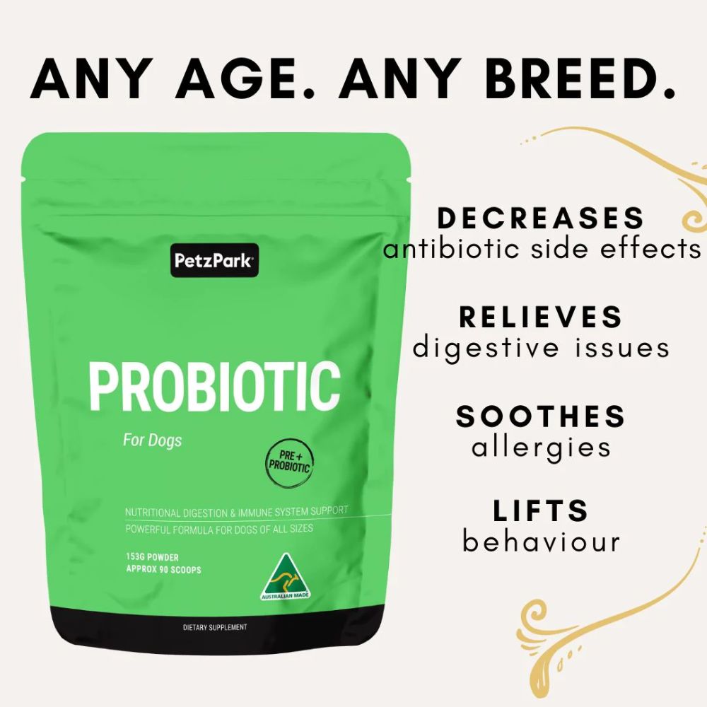 Petz Park Supplement For Dogs | Probiotic