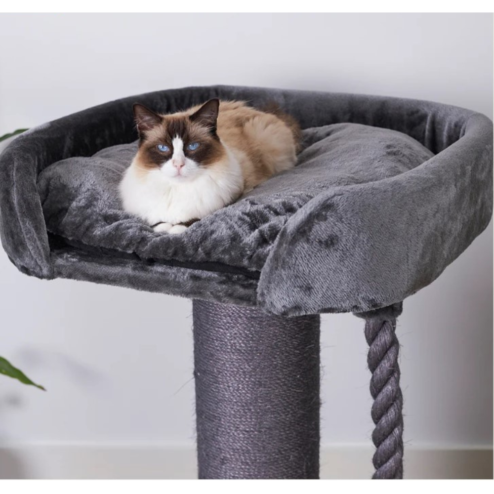 High Bed Scratching Post for Large Cats, Charcoal Plush Modern Pets