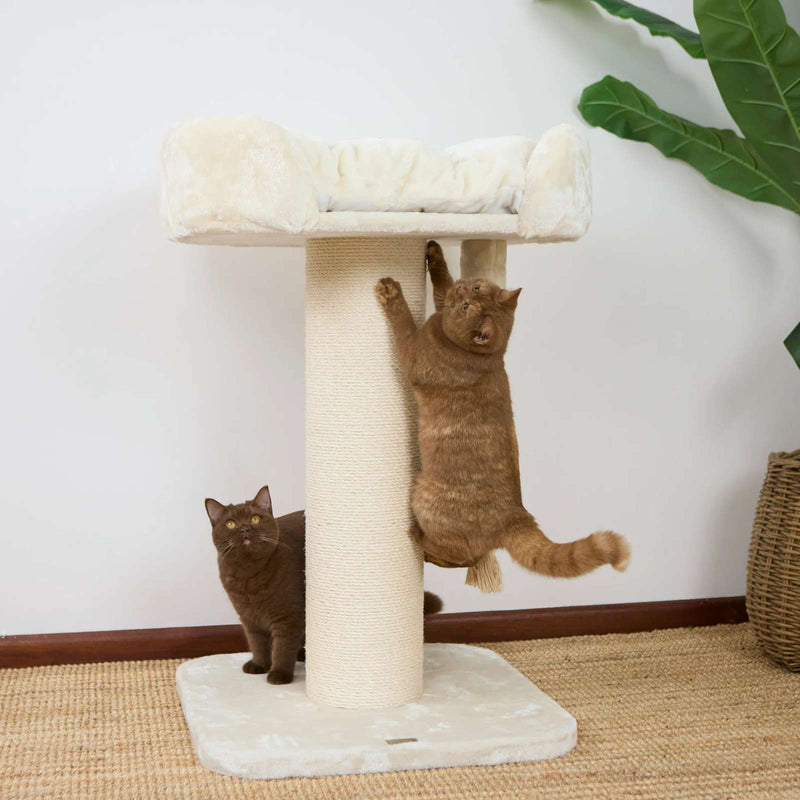 High Bed Scratching Post for Large Cats, Cream Plush