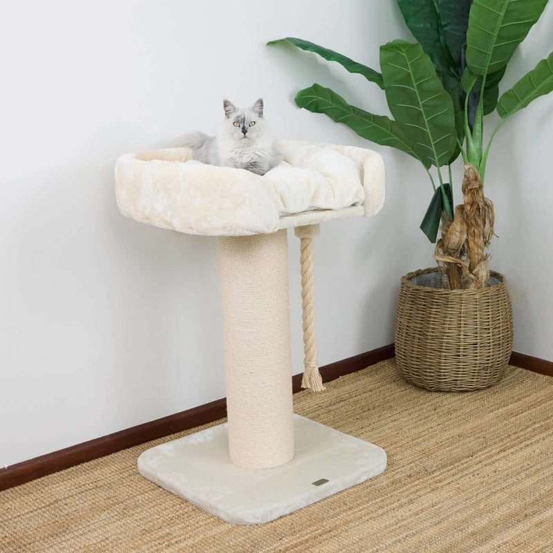 High Bed Scratching Post for Large Cats, Cream Plush