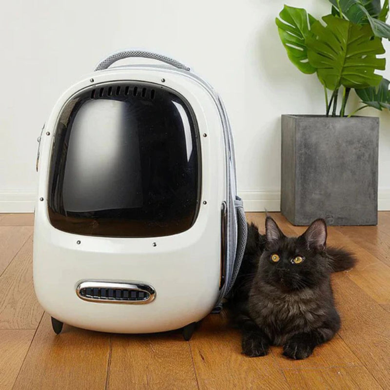Petkit Breezy Cat Backpack, White