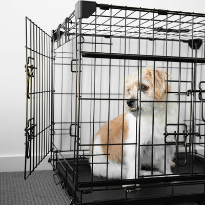 Collapsible Sliding Door Dog Crate