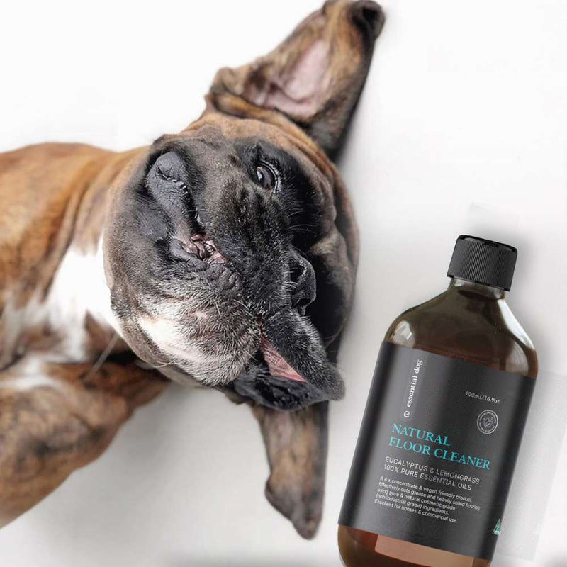 Natural Floor Cleaner Concentrate - Lemongrass & Eucalyptus