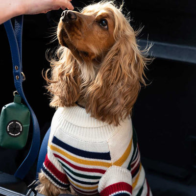 Karlsson Knitted Dog Jumper