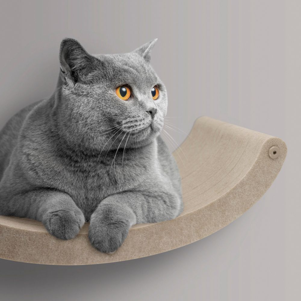 Cat Climber Set of 4 Shelves, Oatmeal