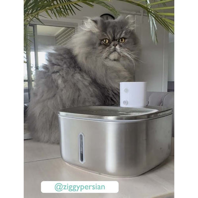 Cordless Sensor Pet Water Fountain, Stainless Steel