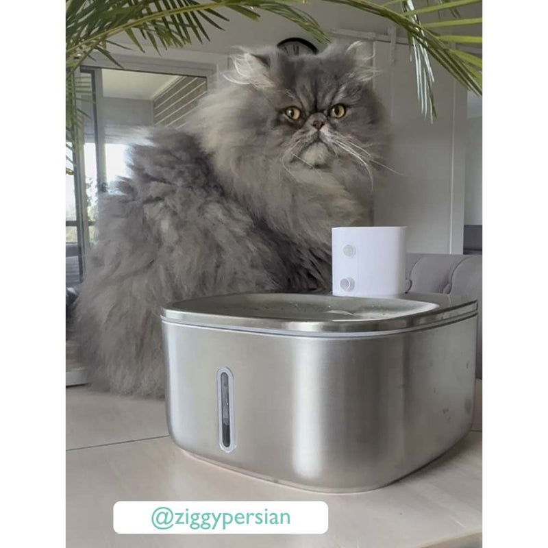 Cordless Sensor Pet Water Fountain, Stainless Steel
