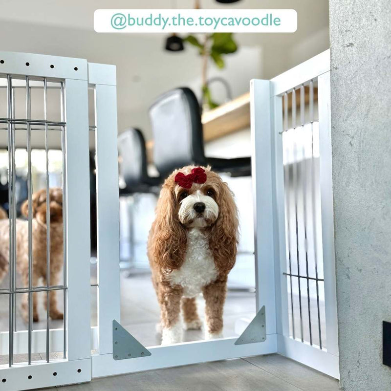 Freestanding Retractable Dog Barrier with Gate