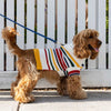 Karlsson Knitted Dog Jumper