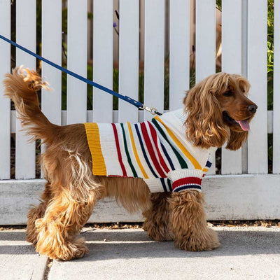 Karlsson Knitted Dog Jumper