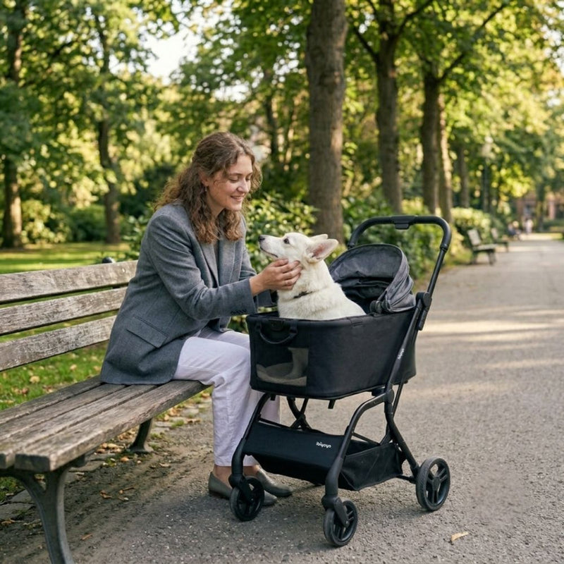 Ibiyaya HUE-GO Detachable Pet Stroller & Capsule, Stone Grey