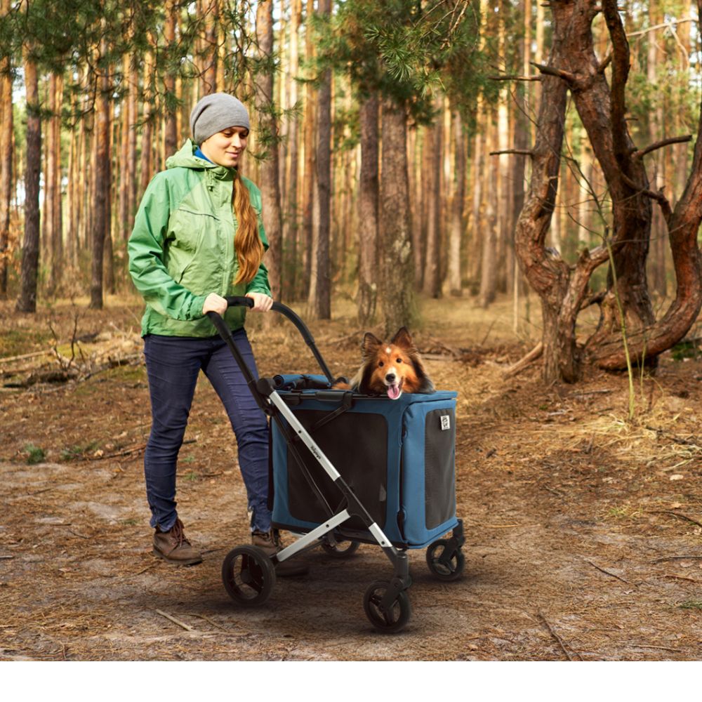 Ibiyaya BigBuddy Pet Stroller and Crate Combo, Crystal Teal