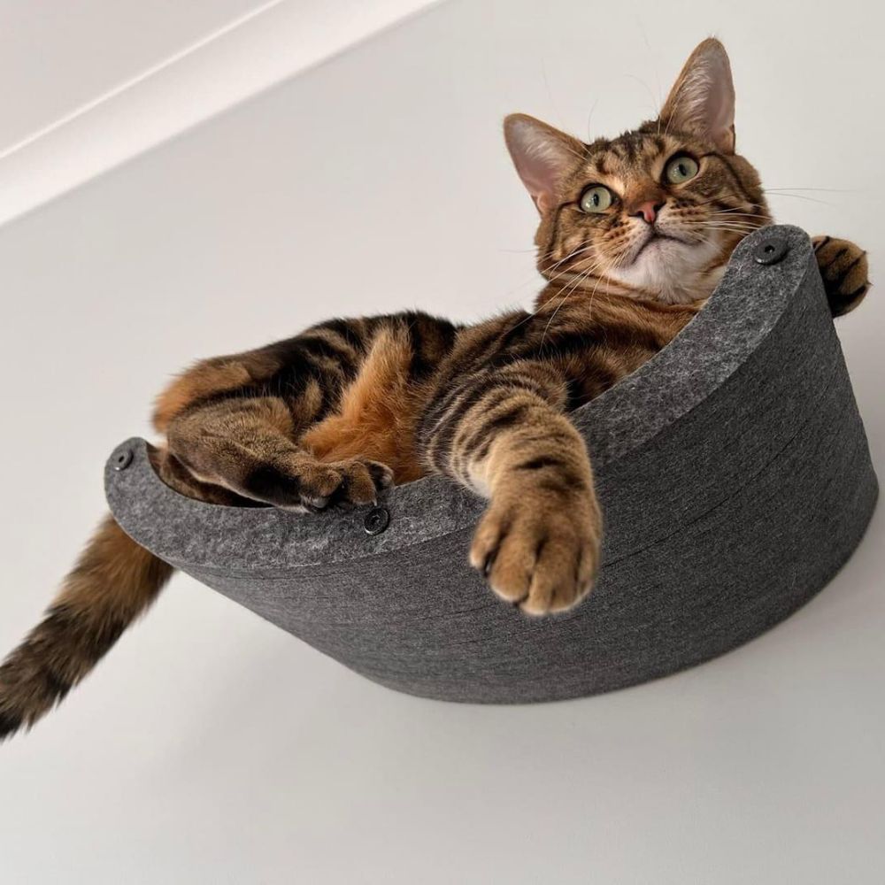 Cat Climber Set of 4 Shelves, Charcoal