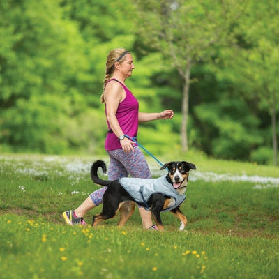 Kurgo Core Cooling Vest