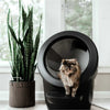 Automatic Litter-Robot 4, Black