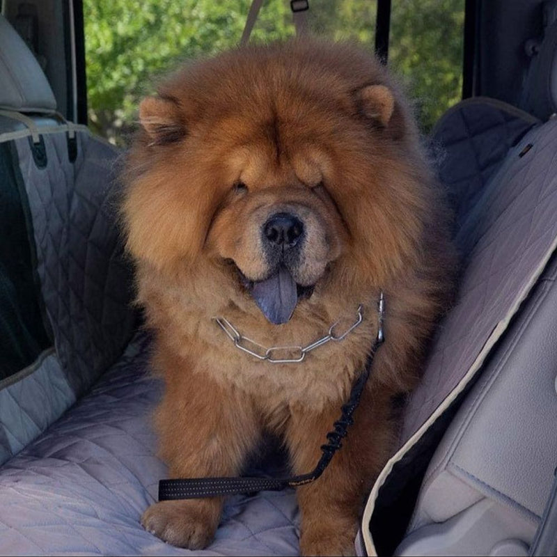 iBuddy Premium Dog Seat Cover Car Hammock with Window