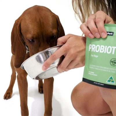 Petz Park Probiotic Supplement For Dogs