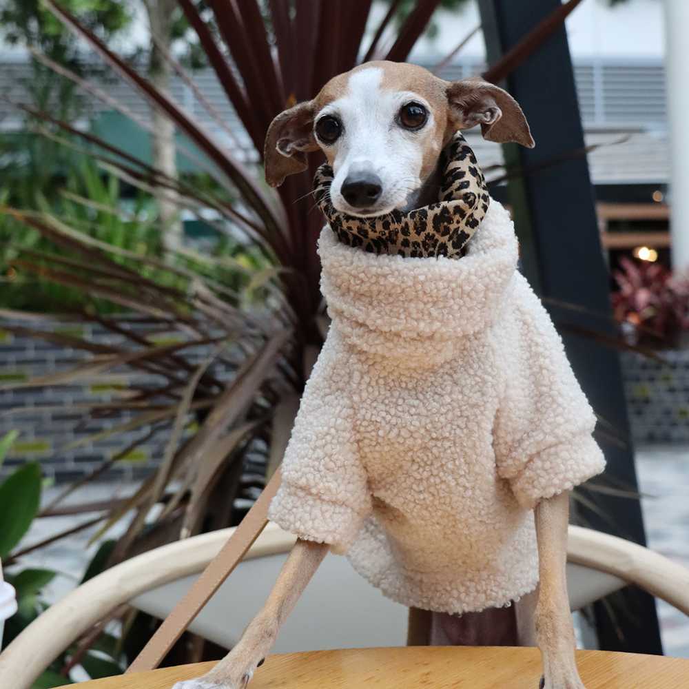 Teddy Dog Jumper, Lambie