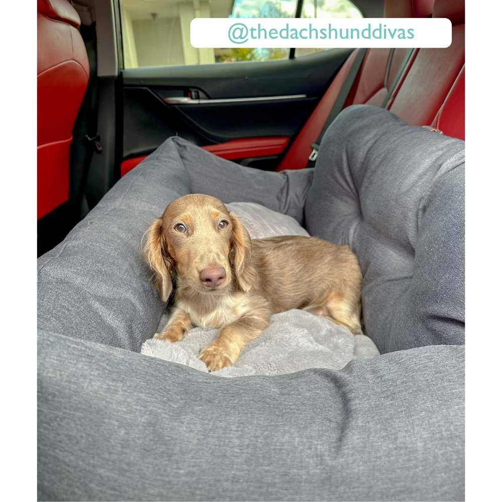 Premium Dog Booster Seat | Medium