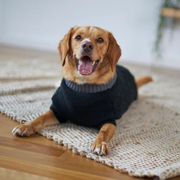 Black Knitted Dog Jumper