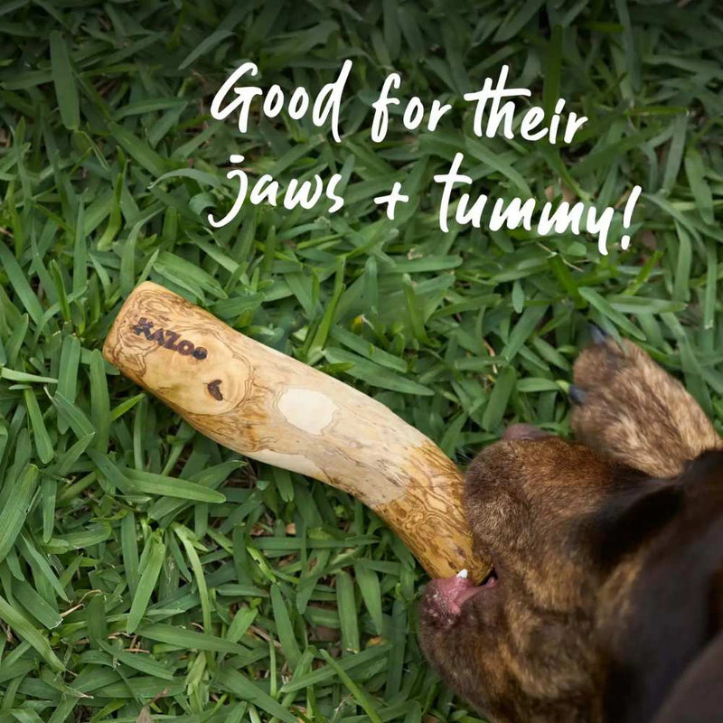 Coffee Wood Stick - Dog Dental Chew