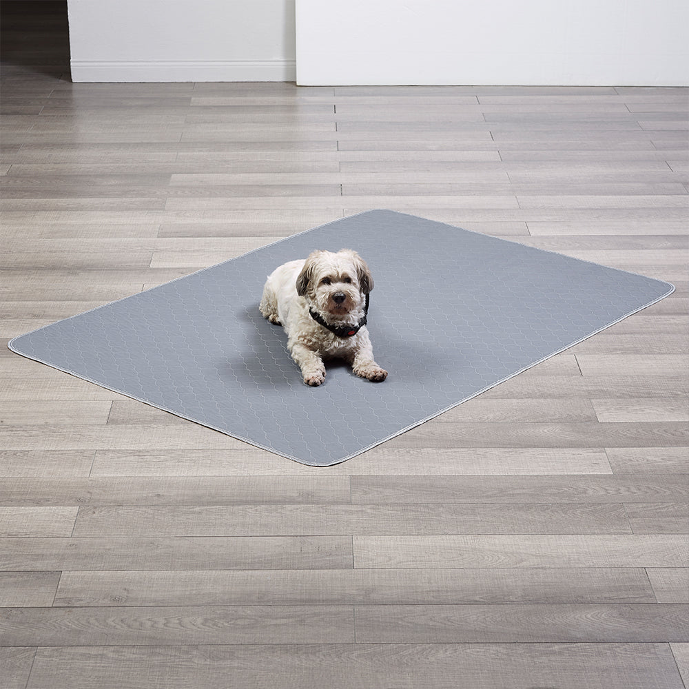 Washable Pet Mat, Reusable Puppy Pee Pad Modern Pets