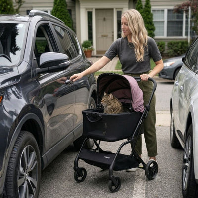 Ibiyaya HUE-GO Detachable Pet Stroller & Capsule, Dusty Pink
