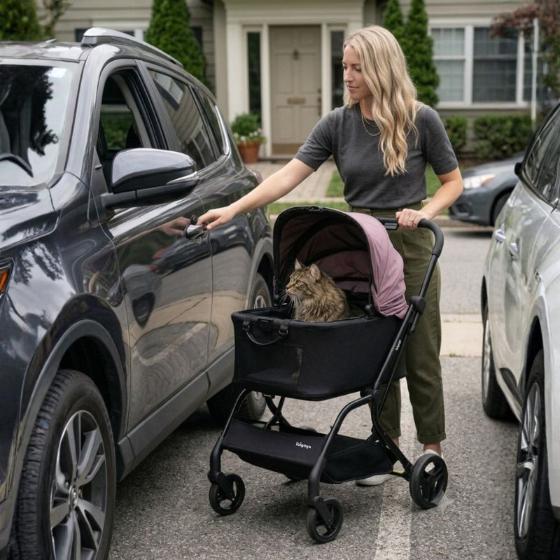 Ibiyaya HUE-GO Detachable Pet Stroller & Capsule, Dusty Pink