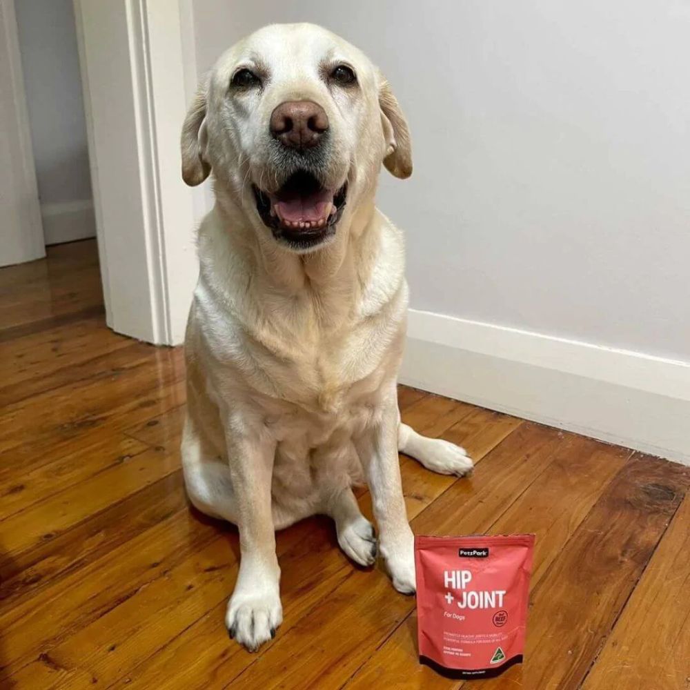 Petz Park Supplement For Dogs | Hip + Joint