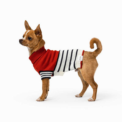 Emerson Knitted Dog Jumper