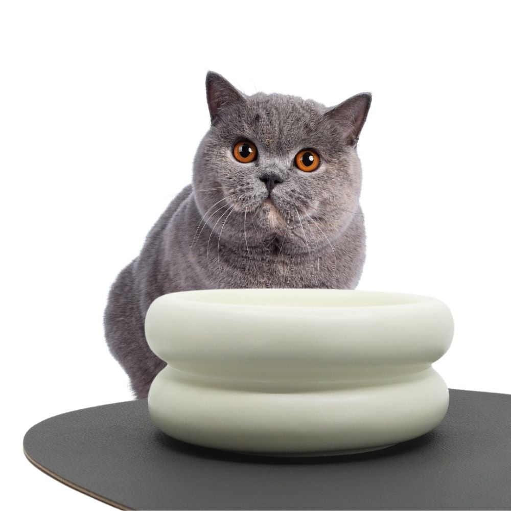 Ceramic Cat Dining Bowl - Elevated