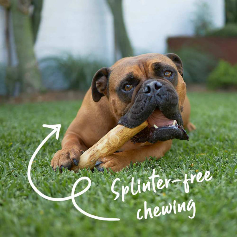 Coffee Wood Stick - Dog Dental Chew