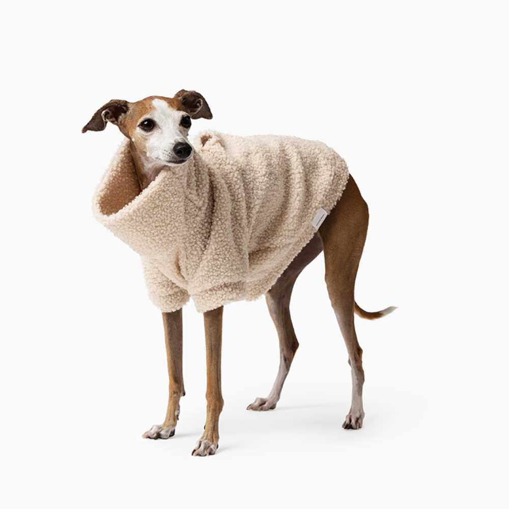 Teddy Dog Jumper, Lambie