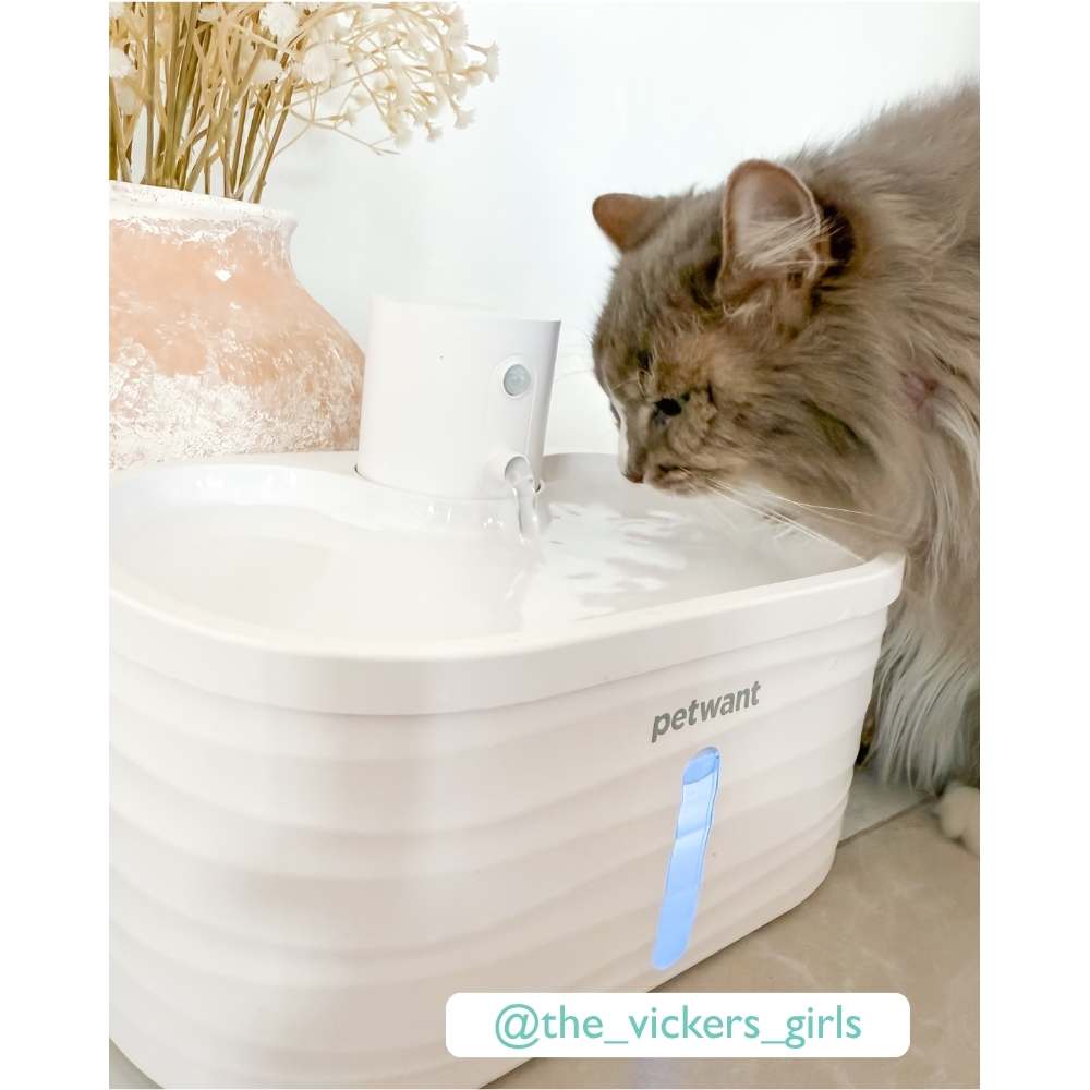 Cordless Sensor Pet Water Fountain, White