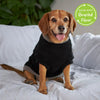 Black Knitted Dog Jumper