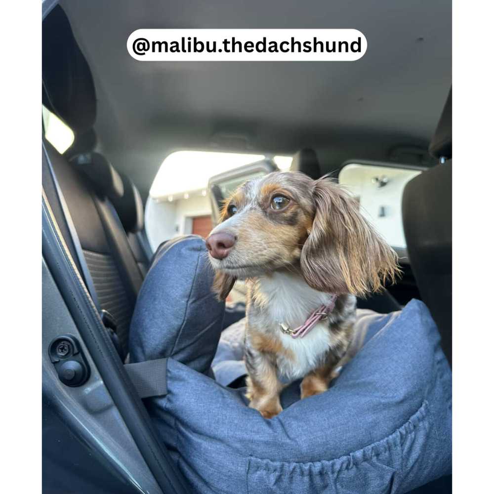 Premium Dog Booster Seat | Medium