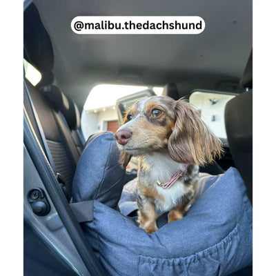 Premium Dog Booster Seat | Medium