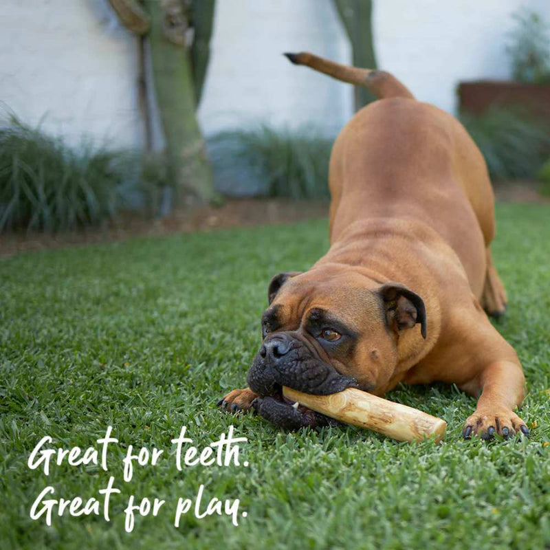 Coffee Wood Stick - Dog Dental Chew