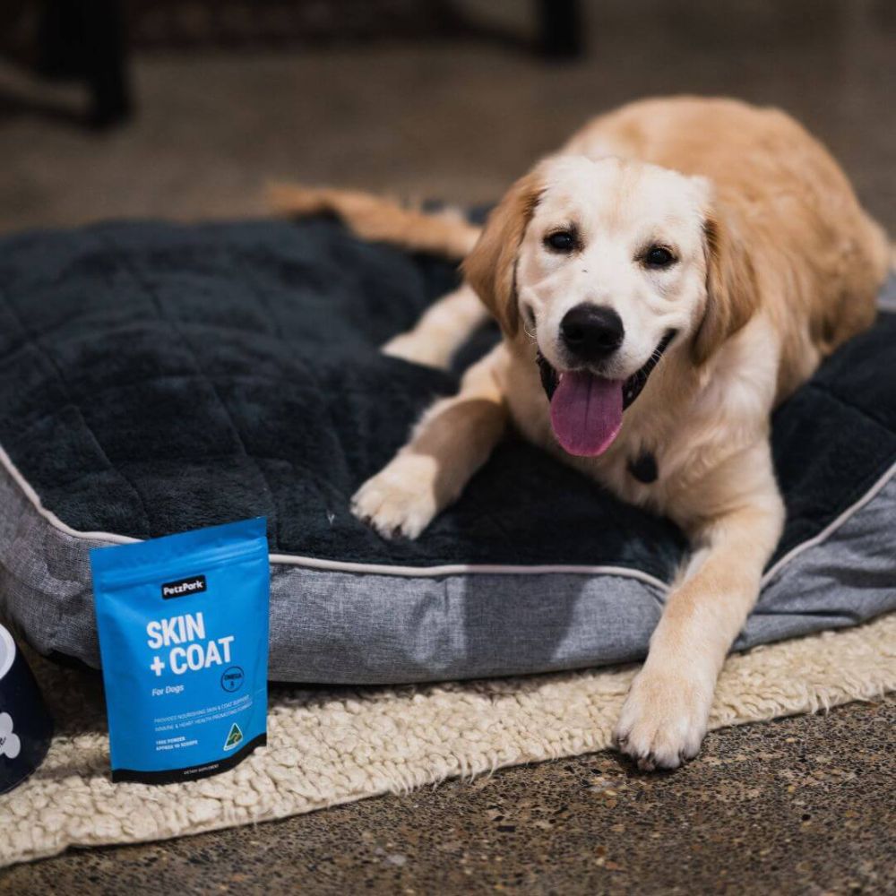 Petz Park Supplement For Dogs | Skin + Coat