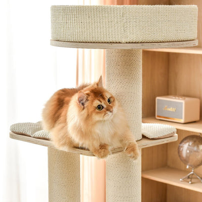 Michu Luna Solid Wood Cat Nest Tree