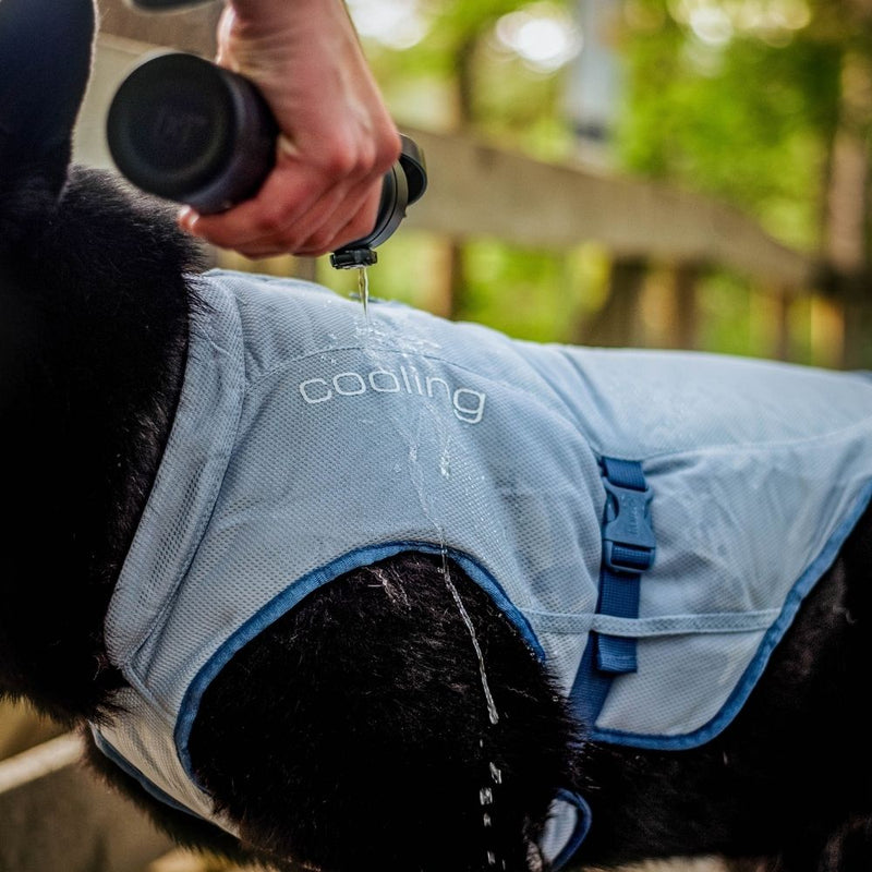 Kurgo Core Cooling Vest