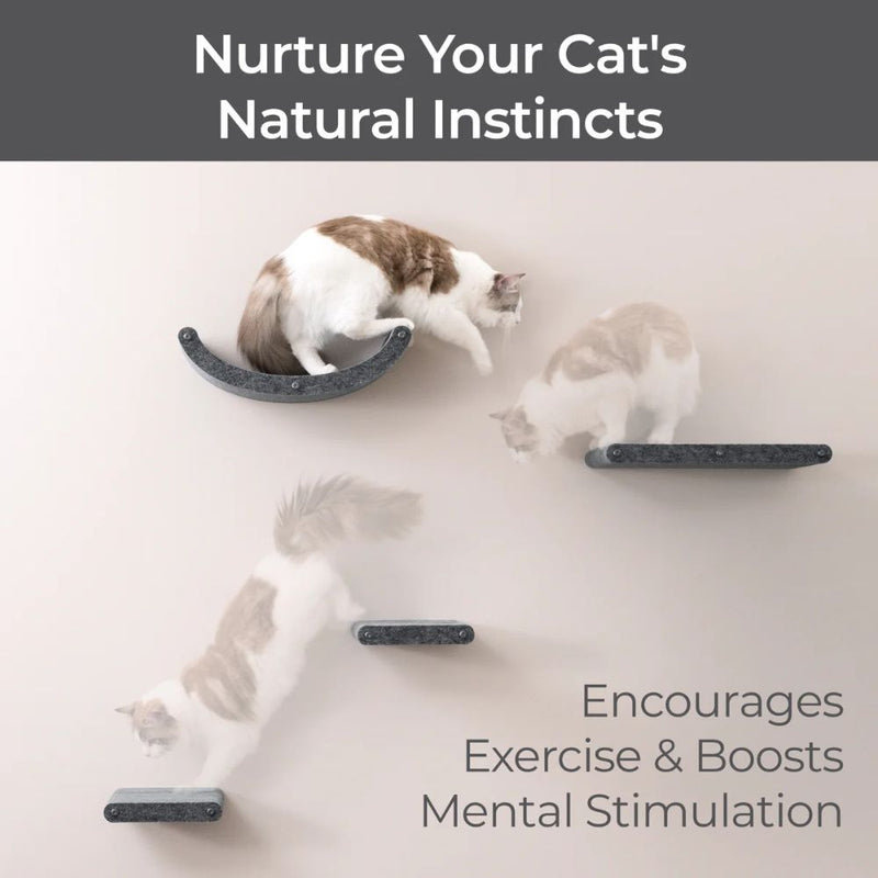 Cat Climber Set of 4 Shelves, Charcoal
