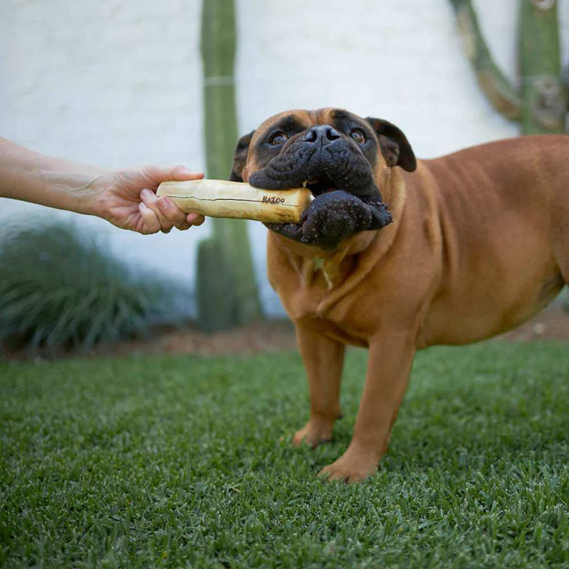 Coffee Wood Stick - Dog Dental Chew