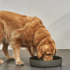 Extra Large Outdoor Dog Water Bowl, Charcoal