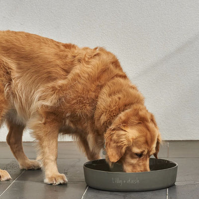Extra Large Outdoor Dog Water Bowl, Charcoal