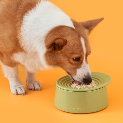 Michu Elevated Ceramic Bowls for Cats and Dogs